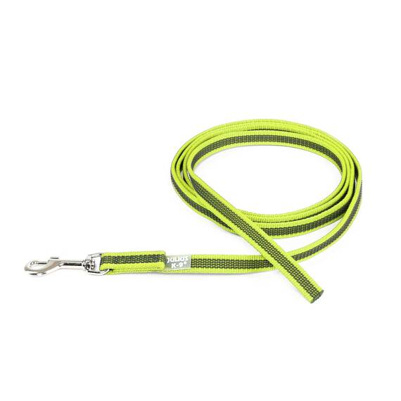 IDC Color & Gray gumierte Leine, 14 mm x 2 m ohne Schlaufe, Neon-Grau