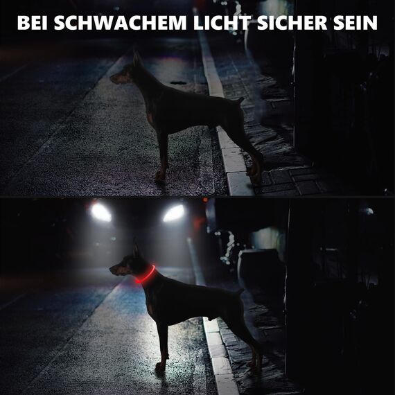Hundehalsbandanhänger (Red)