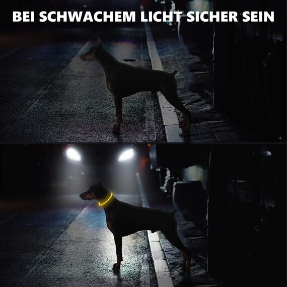 Hundehalsbandanhänger (Gelb)