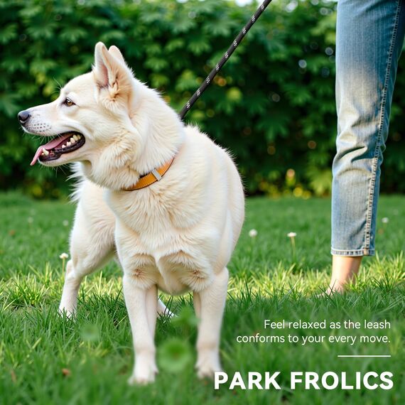 PETCOOZ Hundeleine 3M Verstellbare Schleppleine für Mittel- & Großhunde (20-60kg), Weicher Griff, 2 Karabiner & Sicherheitsringe, Vielseitige Doppelleine aus stabilem Nylon, Schwarz und Weiß
