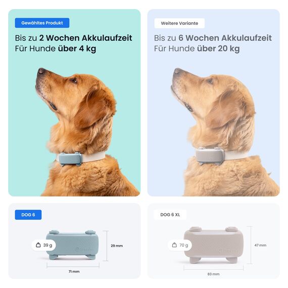 Tractive GPS Tracker Hund | 2025 Edition | Live-Ortung | Weglaufalarm | Aktivitätstracking | Gesundheitswarnungen | Bellverhalten | Empfohlen von Martin Rütter (Mint)