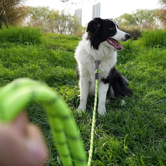 X XBEN Schleppleine für Hunde,3M 5M 6M 10M 15M 20M 25M 30M Starke Hundeleine mit Bequemen Gepolsterter Griff, Trainingsleine Laufleine für Welpen Kleine Mittlere Große Hunde,Abschließbarer Karabine