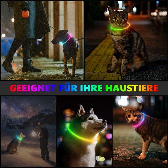 Hundehalsbandanhänger (Red)