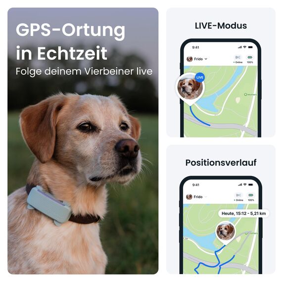 Tractive GPS Tracker Hund | 2025 Edition | Live-Ortung | Weglaufalarm | Aktivitätstracking | Gesundheitswarnungen | Bellverhalten | Empfohlen von Martin Rütter (Mint)