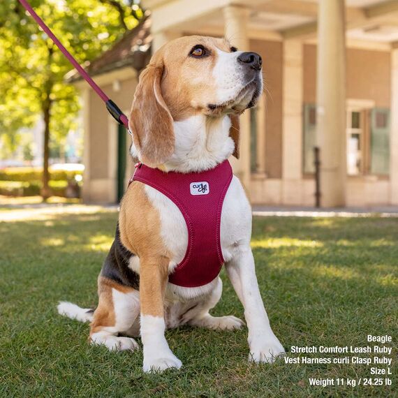 Vest Harness curli Clasp Air-Mesh Red 3XS