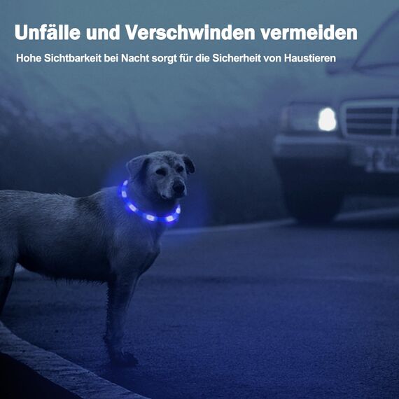 Nepfaivy Leuchthalsband Hund USB Aufladbar - Wasserdichtes Hundehalsband Leuchtend mit Verstellbarer Länge, LED Halsband für Hunde mit 3 Beleuchtungsmodi für Sicherheit, Blau
