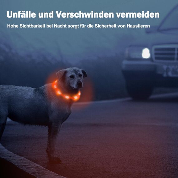Nepfaivy Leuchthalsband Hund USB Aufladbar - Wasserdichtes Hundehalsband Leuchtend mit Verstellbarer Länge, LED Halsband für Hunde mit 3 Beleuchtungsmodi für Sicherheit, Orange