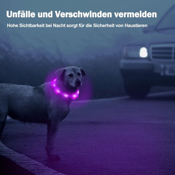 Nepfaivy Leuchthalsband Hund USB Aufladbar - Wasserdichtes Hundehalsband Leuchtend mit Verstellbarer Länge, LED Halsband für Hunde mit 3 Beleuchtungsmodi für Sicherheit, Lila