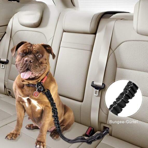 EASERIA Hunde Anschnallgurt fürs Auto, Premium Hund Sicherheitsgurt, Elastische Hundegurt, Länge 53-72- 91 cm, für Alle Hunde, Schwarz- Silberne Punkte