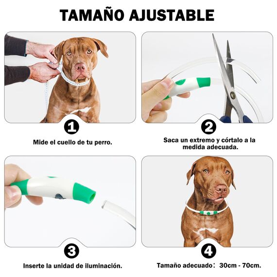 Nepfaivy Leuchthalsband Hund USB Aufladbar - Wasserdichtes Hundehalsband Leuchtend mit 3 Beleuchtungsmodi, Längenverstellbareres LED Halsband für Kleine, Mittlere und Große Hunde (Rot)