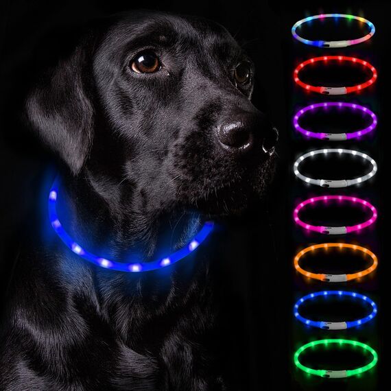Nepfaivy Leuchthalsband Hund USB Aufladbar - Wasserdichtes Hundehalsband Leuchtend mit Verstellbarer Länge, LED Halsband für Hunde mit 3 Beleuchtungsmodi für Sicherheit, Blau