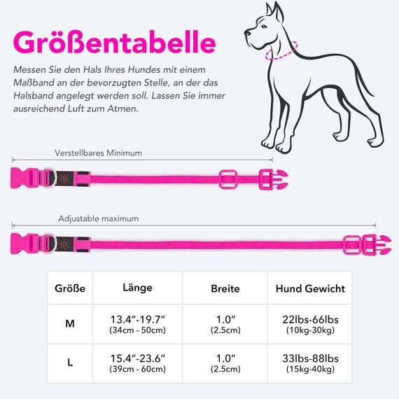 Leuchthalsband Hund, Colaseeme LED Hunde Leuchthalsband, Wasserdicht Hundehalsband Leuchtend, HundeleuchthalsbäNder Aufladbar für Pet Night Walking Safety, rosa M