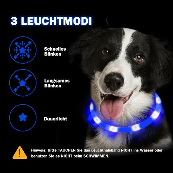 Nepfaivy Leuchthalsband Hund USB Aufladbar - Wasserdichtes Hundehalsband Leuchtend mit Verstellbarer Länge, LED Halsband für Hunde mit 3 Beleuchtungsmodi für Sicherheit, Blau