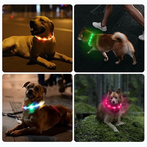 Nepfaivy Leuchthalsband Hund USB Aufladbar - Wasserdichtes Hundehalsband Leuchtend mit Verstellbarer Länge, LED Halsband für Hunde mit 3 Beleuchtungsmodi für Sicherheit, Rot