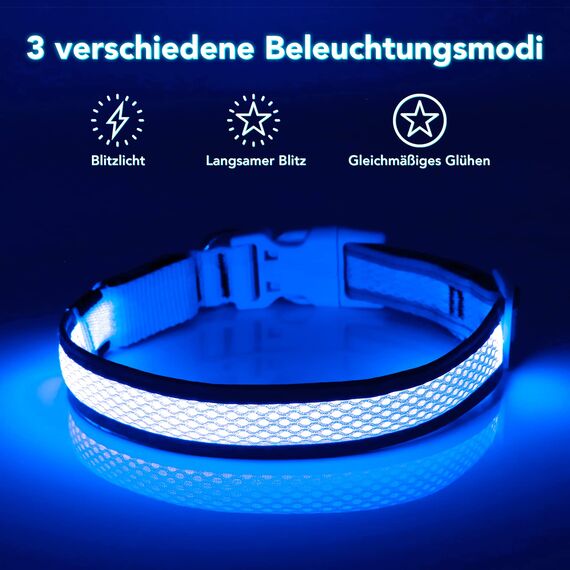Leuchthalsband Hund(Halbleuchtend blau L), Colaseeme LED Hunde Leuchthalsband, Wasserdicht Hundehalsband Leuchtend, HundeleuchthalsbäNder Aufladbar für Pet Night Walking Safety, blau L