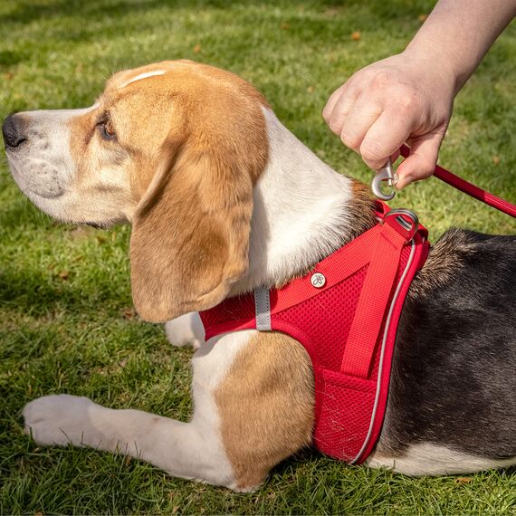 curli MAGNETIC VEST Harness V2 Hundegeschirr (magnetische D-Ringe, Stretch Air-Mesh Obermaterial, größenverstellbar, reflektierender Saum, Gr. XS, Red)