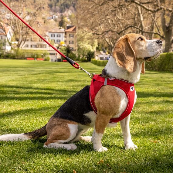curli MAGNETIC VEST Harness V2 Hundegeschirr (magnetische D-Ringe, Stretch Air-Mesh Obermaterial, größenverstellbar, reflektierender Saum, Gr. XS, Red)