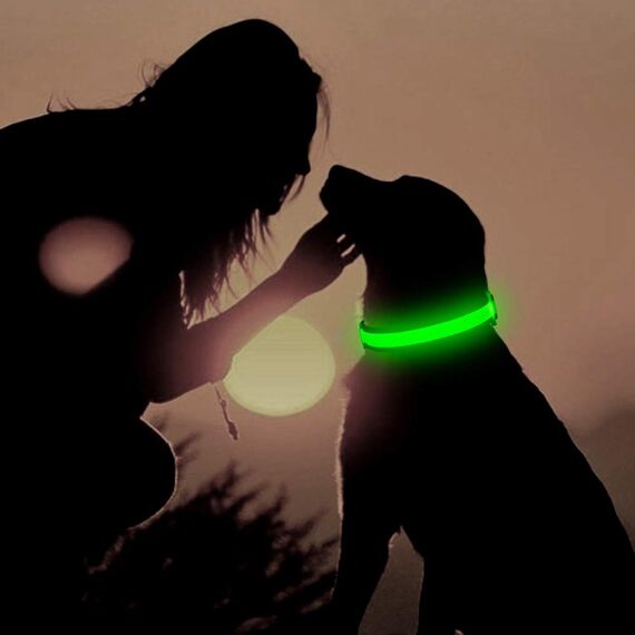 YFbrite Leuchtendes Hundehalsband, wiederaufladbares LED-Hundehalsbands, blinkendes verstellbares reflektierendes Hundehalsbands, Sicherheit leuchtet bei Nacht (Grün, L)