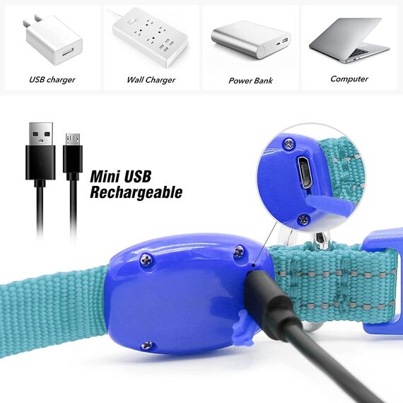 Visinite Leuchthalsband Hund,Wasserdicht,Verstellbare,USB Aufladbar LED Hunde Halsbänder, Leuchtet im Dunkeln, Leuchtendes Hundehalsband hält Ihren Kleinen Hund Sichtbar und Sicher,Blau,S