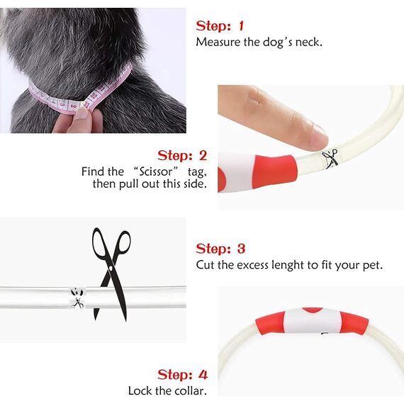 iTayga leuchthalsband Hund, USB-aufladbar und wasserdicht hundehalsband, verstellbare Länge, Sicherheitshalsband für Hunde und Katzen, 3 Modi, Rot