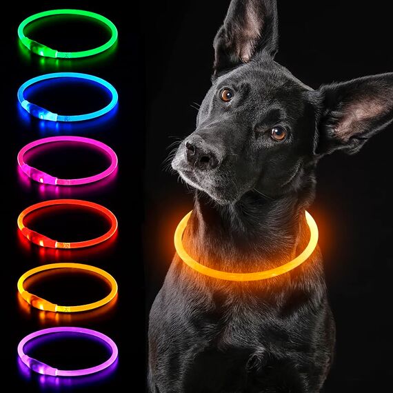 iTayga leuchthalsband Hund, USB-aufladbar und wasserdicht hundehalsband, verstellbare Länge, Sicherheitshalsband für Hunde und Katzen, 3 Modi, Orange