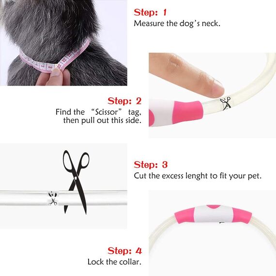 iTayga leuchthalsband Hund, USB-aufladbar und wasserdicht hundehalsband, verstellbare Länge, Sicherheitshalsband für Hunde und Katzen, 3 Modi, Rosa