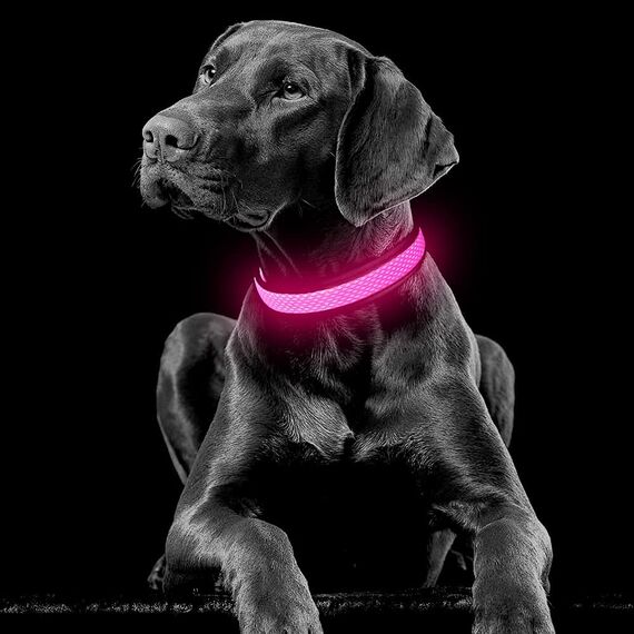 YFbrite Leuchtendes Hundehalsband, wiederaufladbares LED-Hundehalsbands, blinkendes verstellbares reflektierendes Hundehalsbands, Sicherheit leuchtet bei Nacht (Rosa, M)