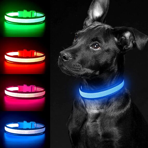 YFbrite Leuchtendes Hundehalsband, wiederaufladbares LED-Hundehalsbands, blinkendes verstellbares reflektierendes Hundehalsbands, Sicherheit leuchtet bei Nacht (Blau, M)