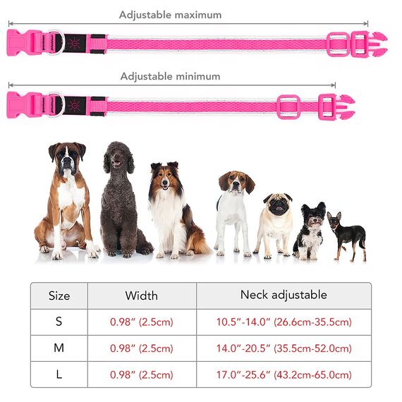 YFbrite Leuchtendes Hundehalsband, wiederaufladbares LED-Hundehalsbands, blinkendes verstellbares reflektierendes Hundehalsbands, Sicherheit leuchtet bei Nacht (Rosa, M)