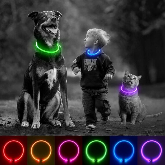 iTayga Leuchthalsband Hund, USB-aufladbar und Wasserdicht Hundehalsband, Verstellbare Länge, Sichtweite 500M, Sicherheitshalsband für Hunde und Katzen, 3 Modi, Lila