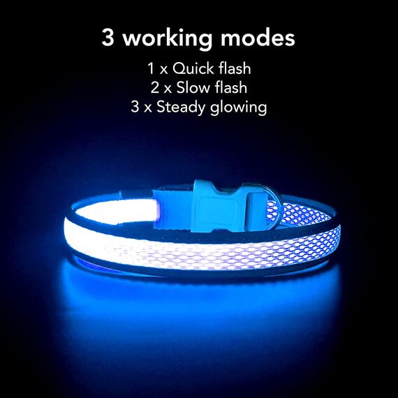 YFbrite Leuchtendes Hundehalsband, wiederaufladbares LED-Hundehalsband, verstellbares reflektierendes Hundehalsbands, Sicherheit leuchtet bei Nacht (Blau, L)