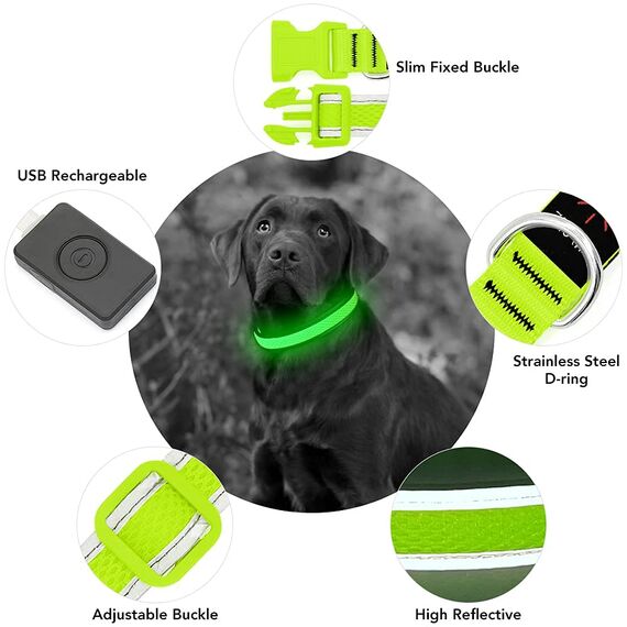 YFbrite Leuchtendes Hundehalsband, wiederaufladbares LED-Hundehalsbands, blinkendes verstellbares reflektierendes Hundehalsbands, Sicherheit leuchtet bei Nacht (Grün, S)