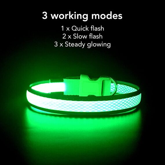 YFbrite Leuchtendes Hundehalsband, wiederaufladbares LED-Hundehalsbands, blinkendes verstellbares reflektierendes Hundehalsbands, Sicherheit leuchtet bei Nacht (Grün, S)