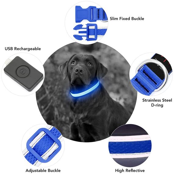 YFbrite Leuchtendes Hundehalsband, wiederaufladbares LED-Hundehalsbands, blinkendes verstellbares reflektierendes Hundehalsbands, Sicherheit leuchtet bei Nacht (Blau, M)