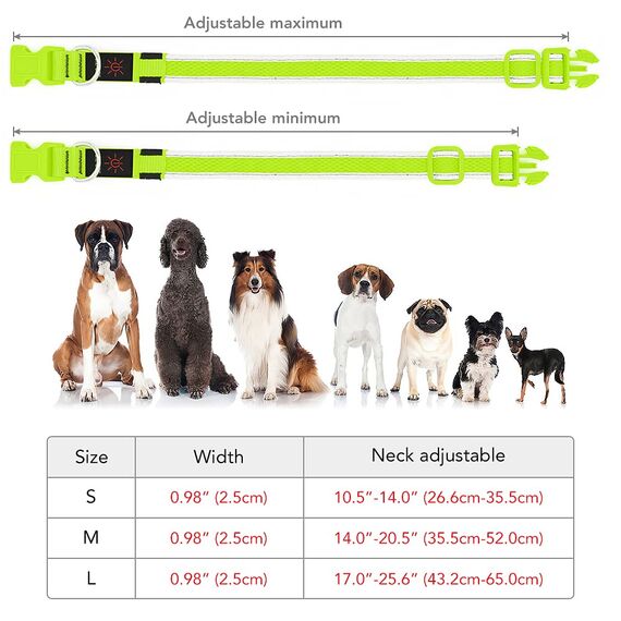 YFbrite Leuchtendes Hundehalsband, LED-Hundehalsband, Voll Beleuchtetes Blinkendes Hundehalsband, Voll Einstellbares Reflektierendes Hundehalsband, Sicherheit Leuchtet Nachts für Alle Hunde (Grün, M)