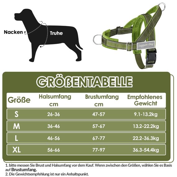 Eyein Hundegeschirr mit Leine für große mittelgroße Hunde, Weich gepolsterter Brustgeschirr mit 2 Leinenclips, Reflektierend & Leichtgewicht Anti Zug Geschirr für Spaziergänge Training, Grün, M