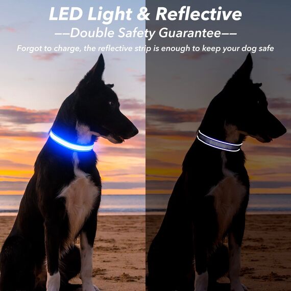 Visinite Leuchtendes LED-Hundehalsband - Wiederaufladbar, Wasserdicht, Reflektierend, Vollständig Verstellbar, Blinkend für Mittelgroße und Große Hunde