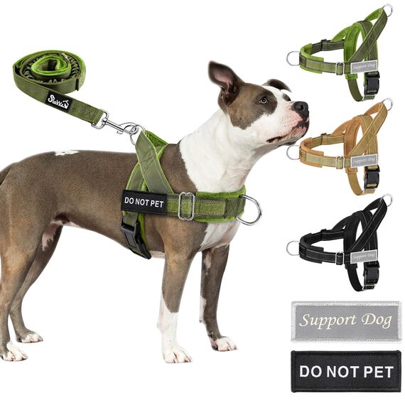 Eyein Hundegeschirr mit Leine für große mittelgroße Hunde, Weich gepolsterter Brustgeschirr mit 2 Leinenclips, Reflektierend & Leichtgewicht Anti Zug Geschirr für Spaziergänge Training, Grün, M