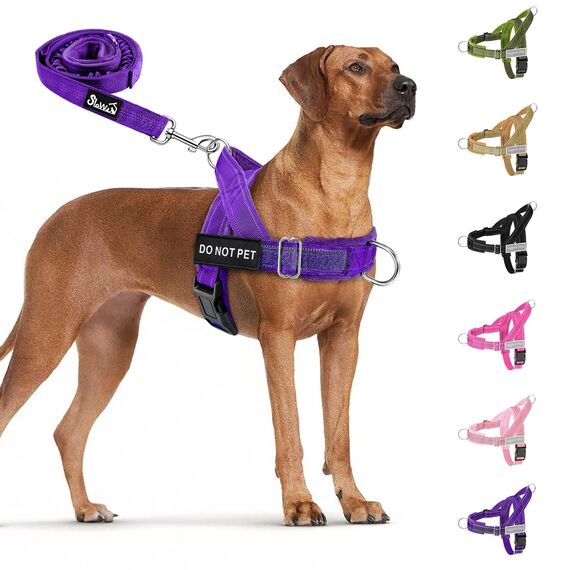 Eyein Hundegeschirr mit Leine für große mittelgroße Hunde, Weich gepolsterter Brustgeschirr mit 2 Leinenclips, Reflektierend & Leichtgewicht Anti Zug Geschirr für Spaziergänge Training, Lila, L