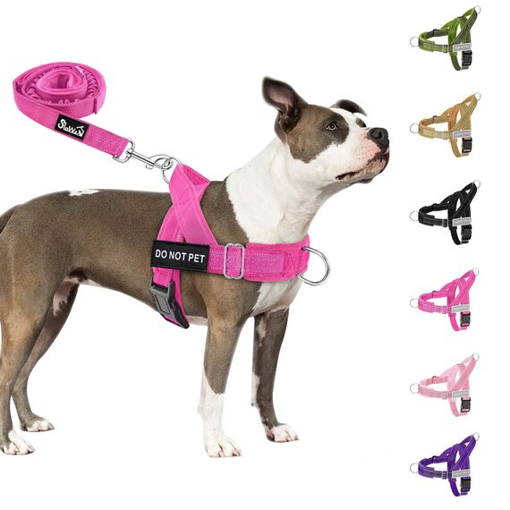 Eyein Hundegeschirr mit Leine für große mittelgroße Hunde, Weich gepolsterter Brustgeschirr mit 2 Leinenclips, Reflektierend & Leichtgewicht Anti Zug Geschirr für Spaziergänge Training, Magenta, M