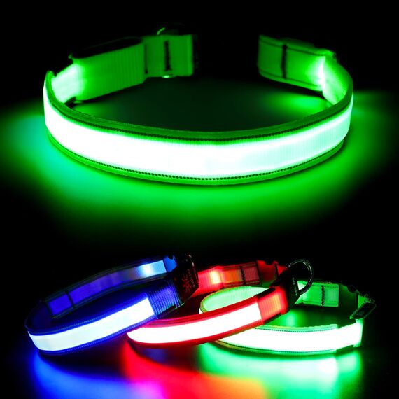 Visinite Leuchtendes LED-Hundehalsband, wiederaufladbar, wasserdicht, reflektierend, verstellbar, blinkend für mittelgroße und große Hunde, Grün, Größe M