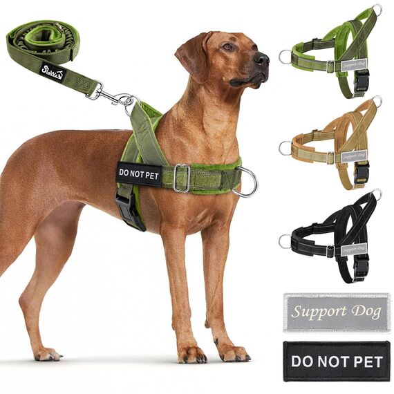 Eyein Hundegeschirr mit Leine für große mittelgroße Hunde, Weich gepolsterter Brustgeschirr mit 2 Leinenclips, Reflektierend & Leichtgewicht Anti Zug Geschirr für Spaziergänge Training, Grün, XL