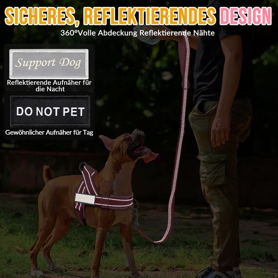 Eyein Hundegeschirr mit Leine für große mittelgroße Hunde, Weich gepolsterter Brustgeschirr mit 2 Leinenclips, Reflektierend & Leichtgewicht Anti Zug Geschirr für Spaziergänge Training, Rosa, L