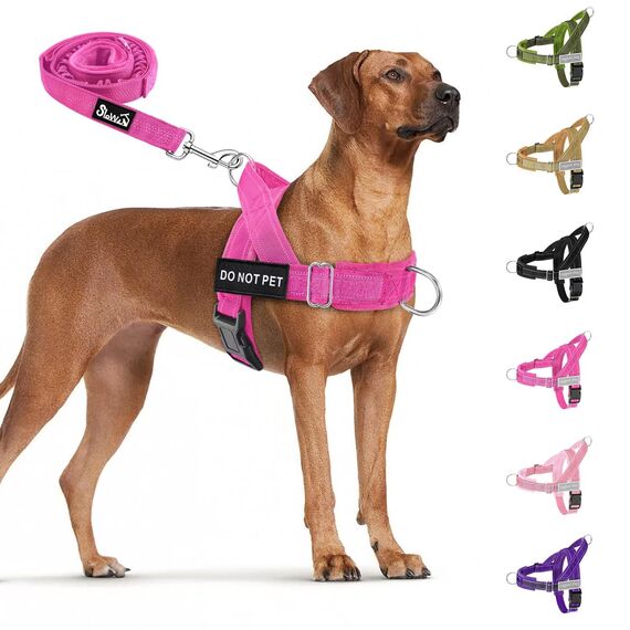 Eyein Hundegeschirr mit Leine für große mittelgroße Hunde, Weich gepolsterter Brustgeschirr mit 2 Leinenclips, Reflektierend & Leichtgewicht Anti Zug Geschirr für Spaziergänge Training, Magenta, L