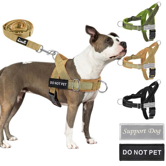 Eyein Hundegeschirr mit Leine für große mittelgroße Hunde, Weich gepolsterter Brustgeschirr mit 2 Leinenclips, Reflektierend & Leichtgewicht Anti Zug Geschirr für Spaziergänge Training, Braun, M