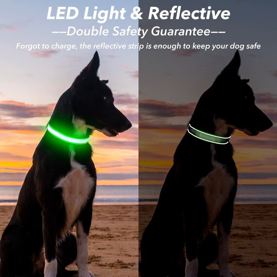 Visinite Leuchtendes LED-Hundehalsband, wiederaufladbar, wasserdicht, reflektierend, verstellbar, blinkend für mittelgroße und große Hunde, Grün, Größe M