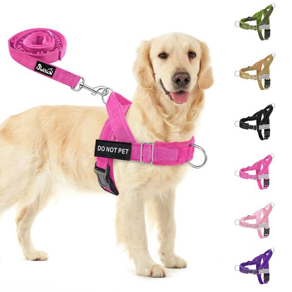Eyein Hundegeschirr mit Leine für große mittelgroße Hunde, Weich gepolsterter Brustgeschirr mit 2 Leinenclips, Reflektierend & Leichtgewicht Anti Zug Geschirr für Spaziergänge Training, Magenta, XL