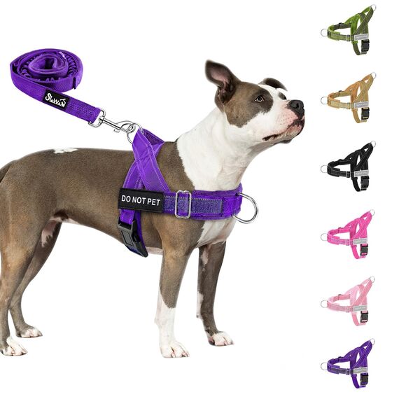 Eyein Hundegeschirr mit Leine für große mittelgroße Hunde, Weich gepolsterter Brustgeschirr mit 2 Leinenclips, Reflektierend & Leichtgewicht Anti Zug Geschirr für Spaziergänge Training, Lila, M