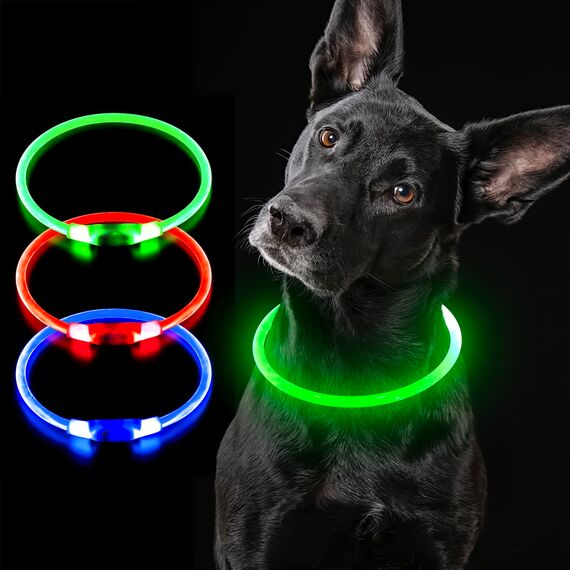 iTayga Leuchthalsband Hund, USB Typ-C und Wasserdicht RGB Hundehalsband, Verstellbare Länge, Sichtweite 500M, 7 Modi, Grün Blau Rot Mehrfarbig Leuchtendes Halsband für Hunde und Katzen