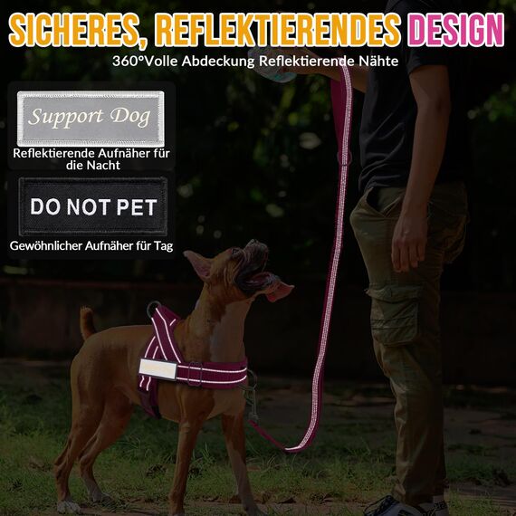 Eyein Hundegeschirr mit Leine für große mittelgroße Hunde, Weich gepolsterter Brustgeschirr mit 2 Leinenclips, Reflektierend & Leichtgewicht Anti Zug Geschirr für Spaziergänge Training, Magenta, L
